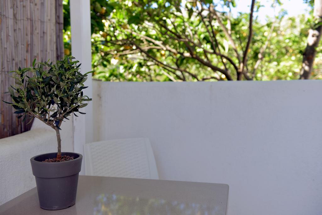 Flora'S Houses Mykonos Klouvas Exterior foto
